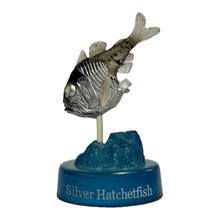 Cargar imagen en el visor de la galería, Silver Hatchetfish - Mini Figure - Bottle Cap - Cuchiwaii
