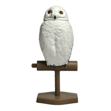 Load image into Gallery viewer, Snowy Owl / Bubo Scandiacus - Trading Figure - Miniature (3) - Cuchiwaii
