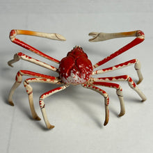 Load image into Gallery viewer, Spider crab - Trading Figure - Miniature - 155 - Cuchiwaii

