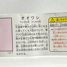 Load image into Gallery viewer, Steller's sea eagle - Trading Figure - Miniature - 127 - Cuchiwaii
