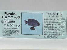 Cargar imagen en el visor de la galería, Striped Beakfish - Trading Figure - Miniature - 141 - Cuchiwaii
