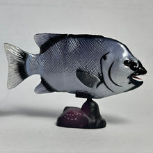 Cargar imagen en el visor de la galería, Striped Beakfish - Trading Figure - Miniature - 141 - Cuchiwaii
