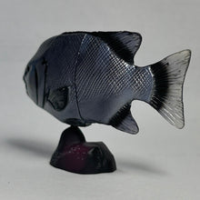 Cargar imagen en el visor de la galería, Striped Beakfish - Trading Figure - Miniature - 141 - Cuchiwaii
