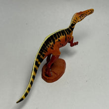 Load image into Gallery viewer, Suchomimus tenerensis - Trading Figure - Miniature (009) - Cuchiwaii
