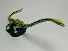 Load image into Gallery viewer, Tanystropheus - Trading Figure - Miniature (037) - Cuchiwaii
