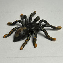 Load image into Gallery viewer, Tarantula - Trading Figure - Miniature (06) - Cuchiwaii
