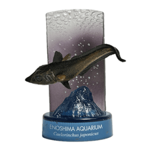 Load image into Gallery viewer, Toujin / Caelorinchus japonicus - Trading Figure - Miniature - Cuchiwaii
