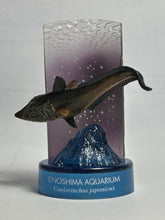 Load image into Gallery viewer, Toujin / Caelorinchus japonicus - Trading Figure - Miniature - Cuchiwaii

