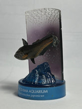 Load image into Gallery viewer, Toujin / Caelorinchus japonicus - Trading Figure - Miniature - Cuchiwaii
