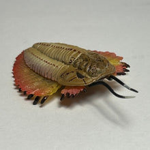 Load image into Gallery viewer, Trilobite - Trading Figure - Miniature (067) - Cuchiwaii

