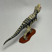 Load image into Gallery viewer, Tyrannosaurus - Trading Figure - Miniature (Secret) - Cuchiwaii
