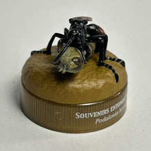 Load image into Gallery viewer, Wasp (Podalonia hirsuta) - Mini Figure - Bottle Cap - Cuchiwaii
