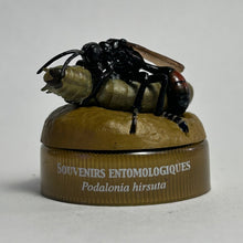 Load image into Gallery viewer, Wasp (Podalonia hirsuta) - Mini Figure - Bottle Cap - Cuchiwaii
