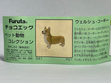 Cargar imagen en el visor de la galería, Welsh Corgi - Trading Figure - Miniature - 041 P41 - Cuchiwaii
