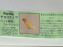 Cargar imagen en el visor de la galería, Yellow-collared Lovebird - Trading Figure - Miniature - 060 P-29C - Cuchiwaii
