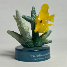 Load image into Gallery viewer, Yellow tang / Zebrasoma flavescens - Trading Figure - Miniature - Cuchiwaii

