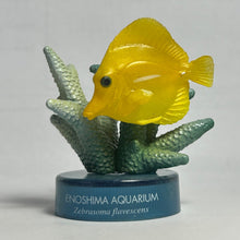Load image into Gallery viewer, Yellow tang / Zebrasoma flavescens - Trading Figure - Miniature - Cuchiwaii
