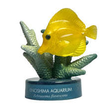 Load image into Gallery viewer, Yellow tang / Zebrasoma flavescens - Trading Figure - Miniature - Cuchiwaii
