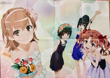 Load image into Gallery viewer, A Certain Scientific Railgun / IS: Infinite Stratos - Double - sided B2 Poster - NyanType Appendix - Cuchiwaii
