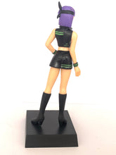 Load image into Gallery viewer, Dead or Alive Ultimate - Ayane - New Costume Special Figure
