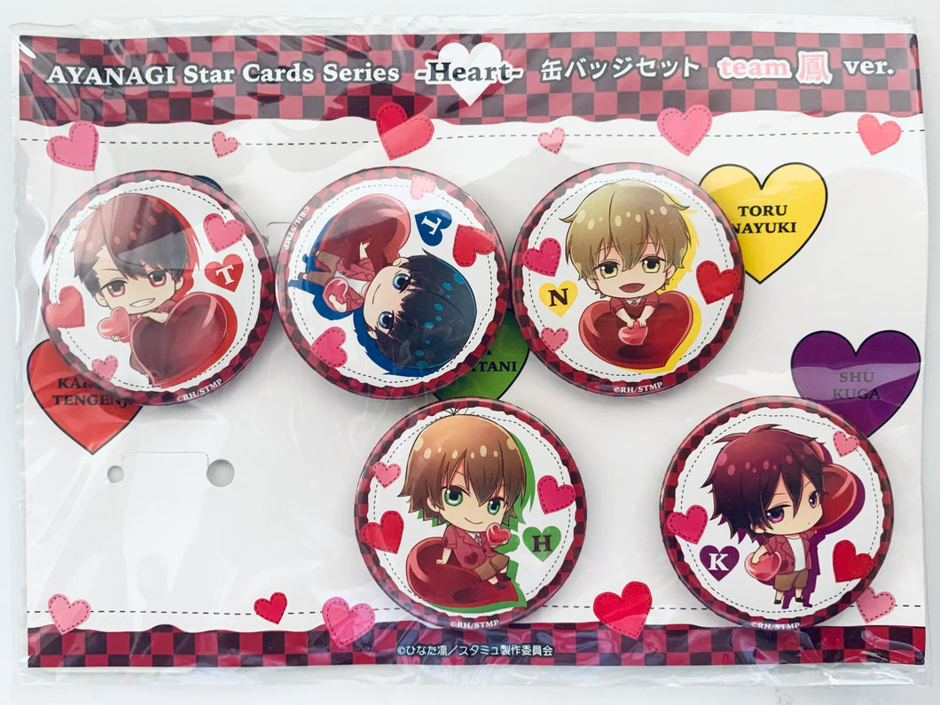 High School Star Musical - Tengenji, Nayuki, Kuga, Hoshitani & Tsukigami - AYANAGI Star Cards Series -Heart- Can Badge Set - Team Otori ver.