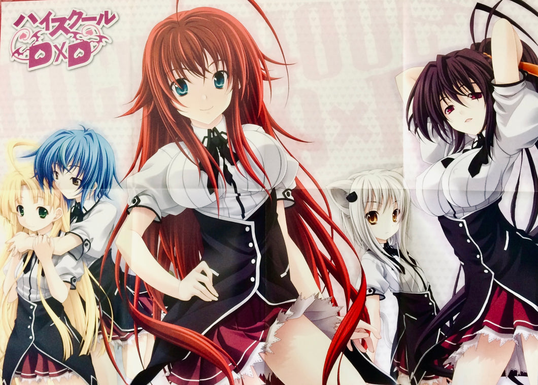 High School DxD - Double-sided B2 Poster - Appendix