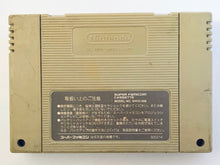 Cargar imagen en el visor de la galería, Haou Taikei Ryuu Knight: Lord of Paladin - Super Famicom - SFC - Nintendo - Japan Ver. - NTSC-JP - Cart (SHVC-UR)
