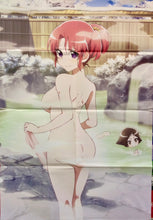 Cargar imagen en el visor de la galería, New Game! / Mikakunin de Shinkoukei - Double-sided B2 Poster - Appendix
