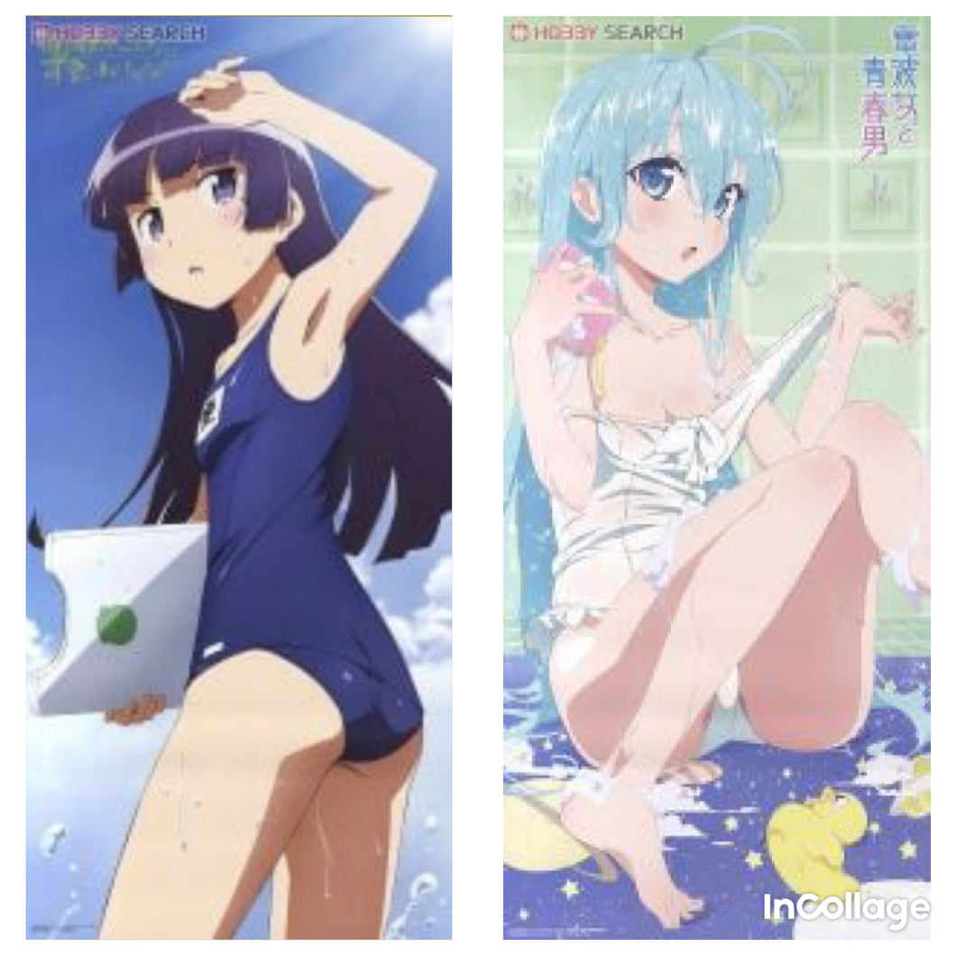 My sister can't be this cute / Ground Control to Psychoelectric Girl - Gokou Ruri - Touwa Erio - Dengeki G's Magazine July 2011 issue - Bath Poster