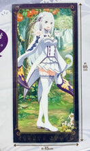 Load image into Gallery viewer, Re:Zero –Starting Life in Another World - Emilia - Puck - Ichiban Kuji ~snow white life ver.~ - Prize C Visual Cloth
