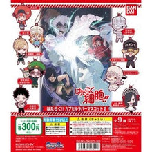 Load image into Gallery viewer, Hataraku Saibou - General Cell - Lactic Acid Bacteria - Hataraku!! Capsule Rubber Mascot 2
