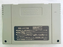 Cargar imagen en el visor de la galería, Princess Minerva - Super Famicom - SFC - Nintendo - Japan Ver. - NTSC-JP - Cart (SHVC-AVAJ-JPN)
