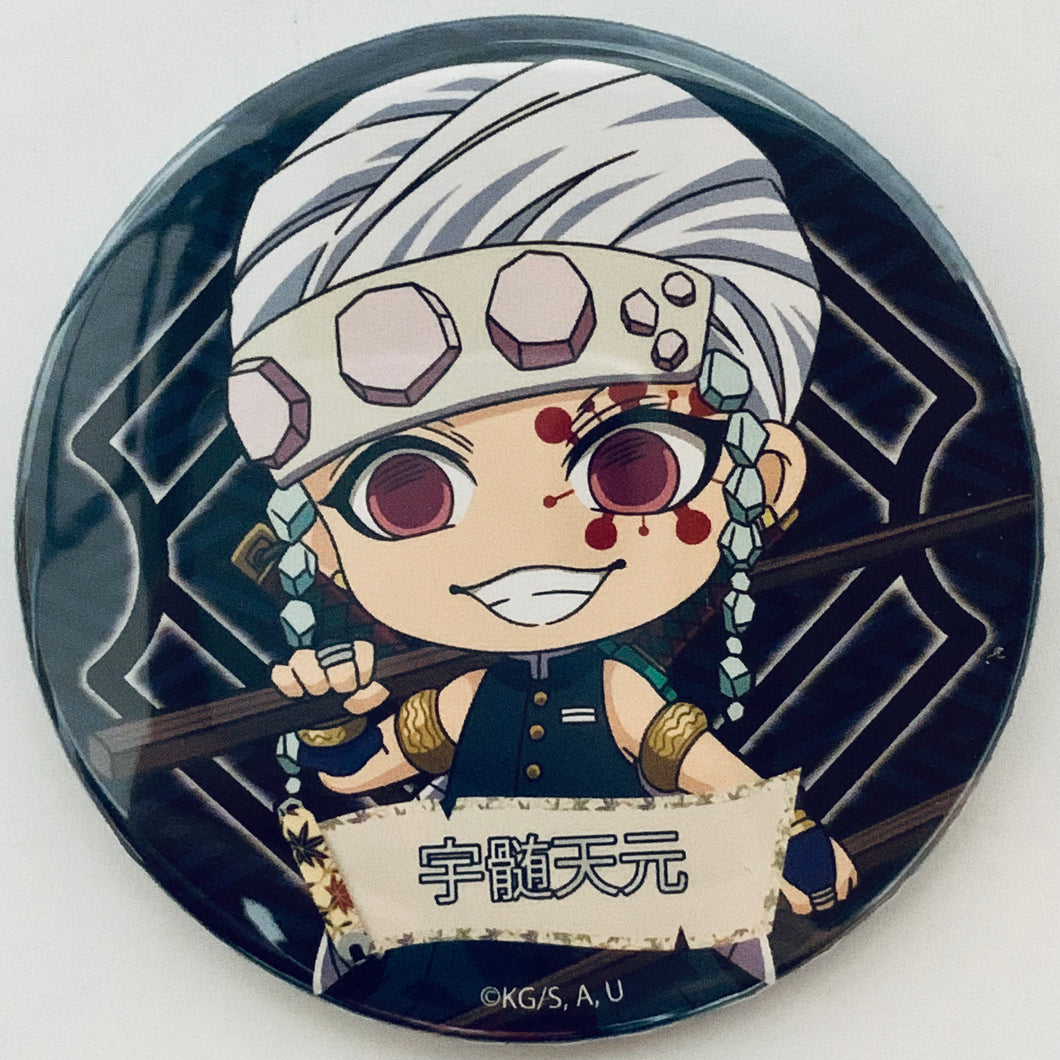 Kimetsu no Yaiba - Uzui Tengen - Photo Chara Oshokuji Series Can Badge Vol.2