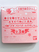 Cargar imagen en el visor de la galería, Sailor Moon - Tsukino Usagi / Serena - Sitting Plush
