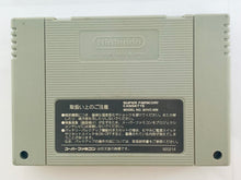 Cargar imagen en el visor de la galería, Lady Stalker: Kako kara no Chousen - Super Famicom - SFC - Nintendo - Japan Ver. - NTSC-JP - Cart (SHVC-ALSJ-JPN)
