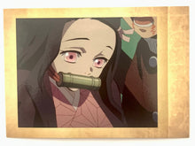 Load image into Gallery viewer, Kimetsu no Yaiba Pashacollet Vol.2 - Pasha Colle - Trading Card
