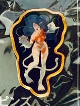 Load image into Gallery viewer, Vampire Savior: The Lord of Vampire / DarkStalkers - Felicia - Metal Pin Collection
