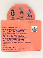 Load image into Gallery viewer, Mai-Otome - Nina Wáng - Tori-Colle! - Trading Figure

