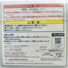 Cargar imagen en el visor de la galería, Sword Art Online: Alicization - Leafa - Acrylic Stand - Ichiban Kuji SAO 10th Anniversary Party - G Prize
