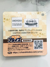 Load image into Gallery viewer, Kimetsu no Yaiba x Araiguma Rascal - Rascal - Shinazugawa Sanemi - Plush Mascot Vol.2
