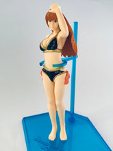 Cargar imagen en el visor de la galería, Dead or Alive - Kasumi - Trading Figure MEISTER Xtreme 2 - Tsutsuji ver.
