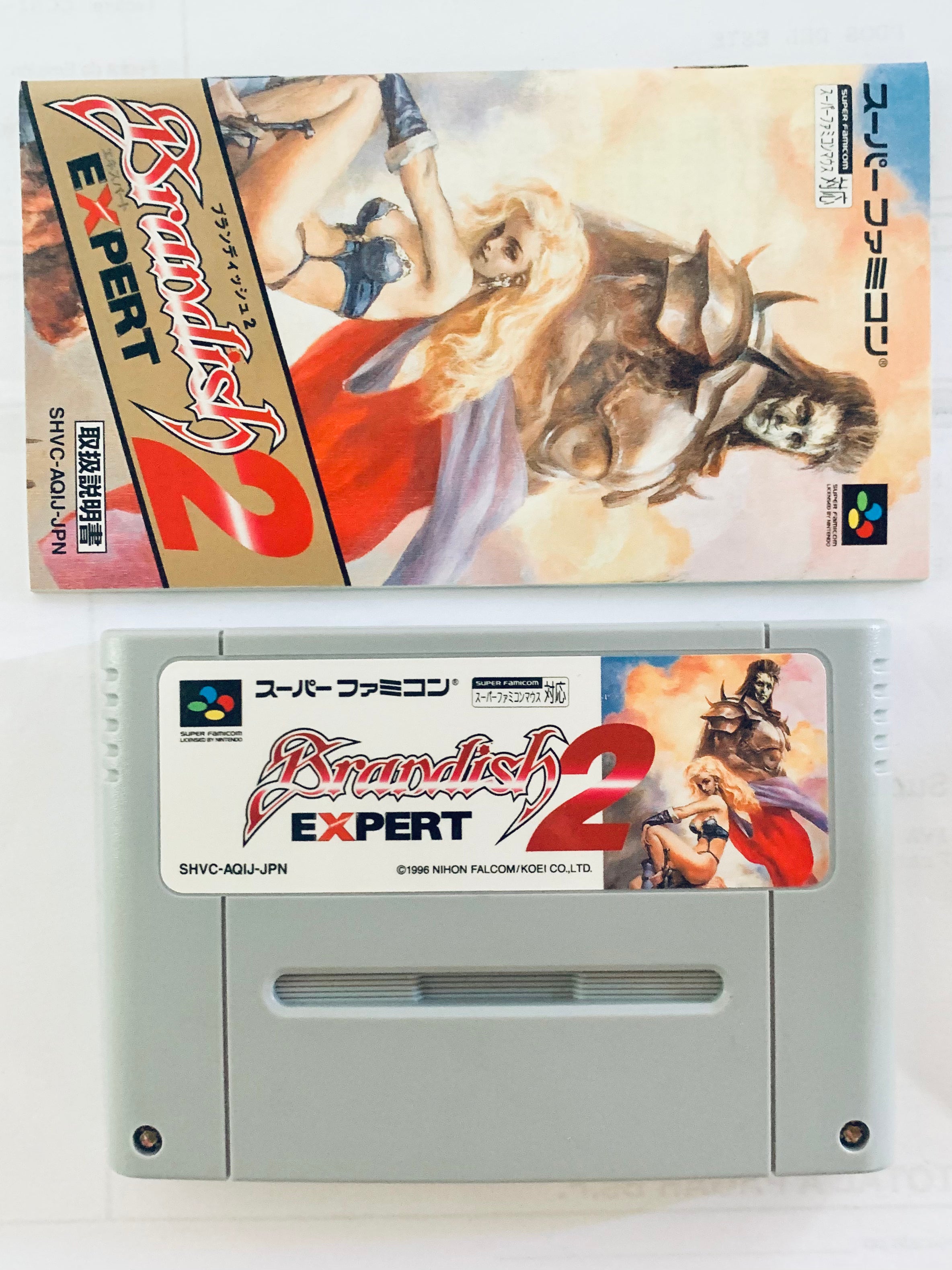 Brandish 2 Expert ブランディッシュ2 エキスパート（Brandish 2