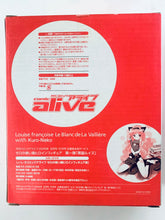 Load image into Gallery viewer, Zero no Tsukaima - Louise Françoise Le Blanc de la Vallière with Kuro-Neko - Heroine Figure - Monthly Comic Alive
