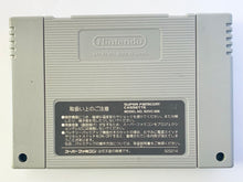 Cargar imagen en el visor de la galería, Bastard! - Super Famicom - SFC - Nintendo - Japan Ver. - NTSC-JP - Cart (SHVC-VC)
