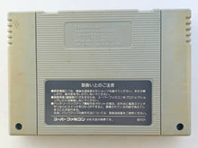 Cargar imagen en el visor de la galería, RPG Tsukuru: Super Dante - Super Famicom - SFC - Nintendo - Japan Ver. - NTSC-JP - Cart (SHVC-ARDJ-JPN)
