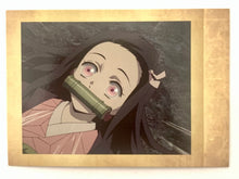 Load image into Gallery viewer, Kimetsu no Yaiba Pashacollet Vol.2 - Pasha Colle - Trading Card
