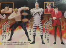 Load image into Gallery viewer, Tiger Mask - Super Real Figure - SR Series Fighting Collection - Set of 6
