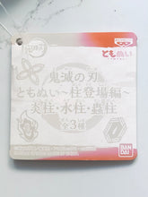 Load image into Gallery viewer, Kimetsu no Yaiba - Tomioka Giyuu - Tomonui ~Pillar Ver.~ Plush
