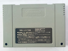 Cargar imagen en el visor de la galería, Mahou Kishi Rayearth - Super Famicom - SFC - Nintendo - Japan Ver. - NTSC-JP - Cart (SHVC-AURJ-JPN)
