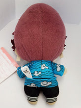 Cargar imagen en el visor de la galería, Kimetsu no Yaiba - Kamado Tanjirou - Tomonui - Hashino - type - Plush - Cuchiwaii

